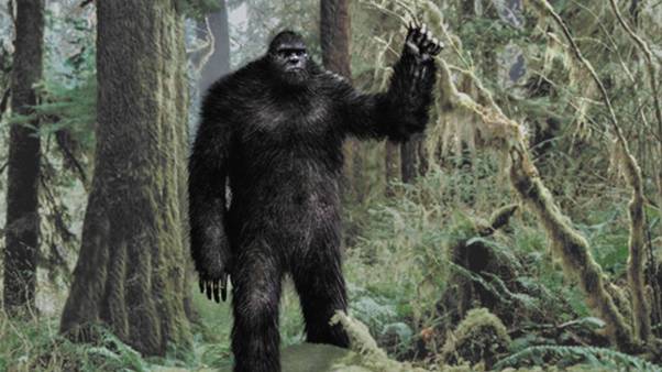 275052-cryptozoology-bigfoot-wallpaper