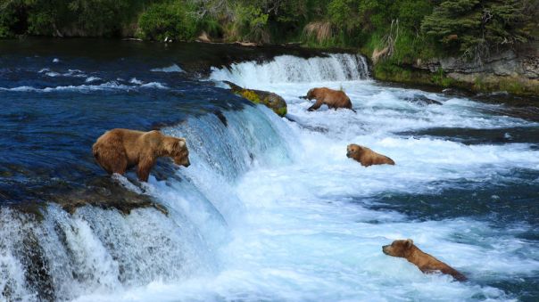 alaska-shutterstock_87922123